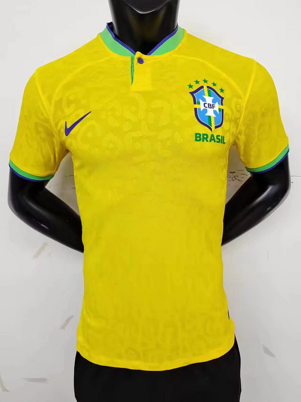 2022 Brazil home